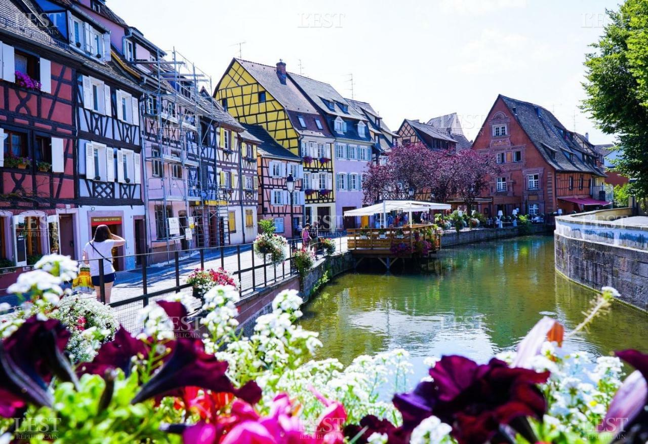 Residences Du Theatre Colmar Esterno foto