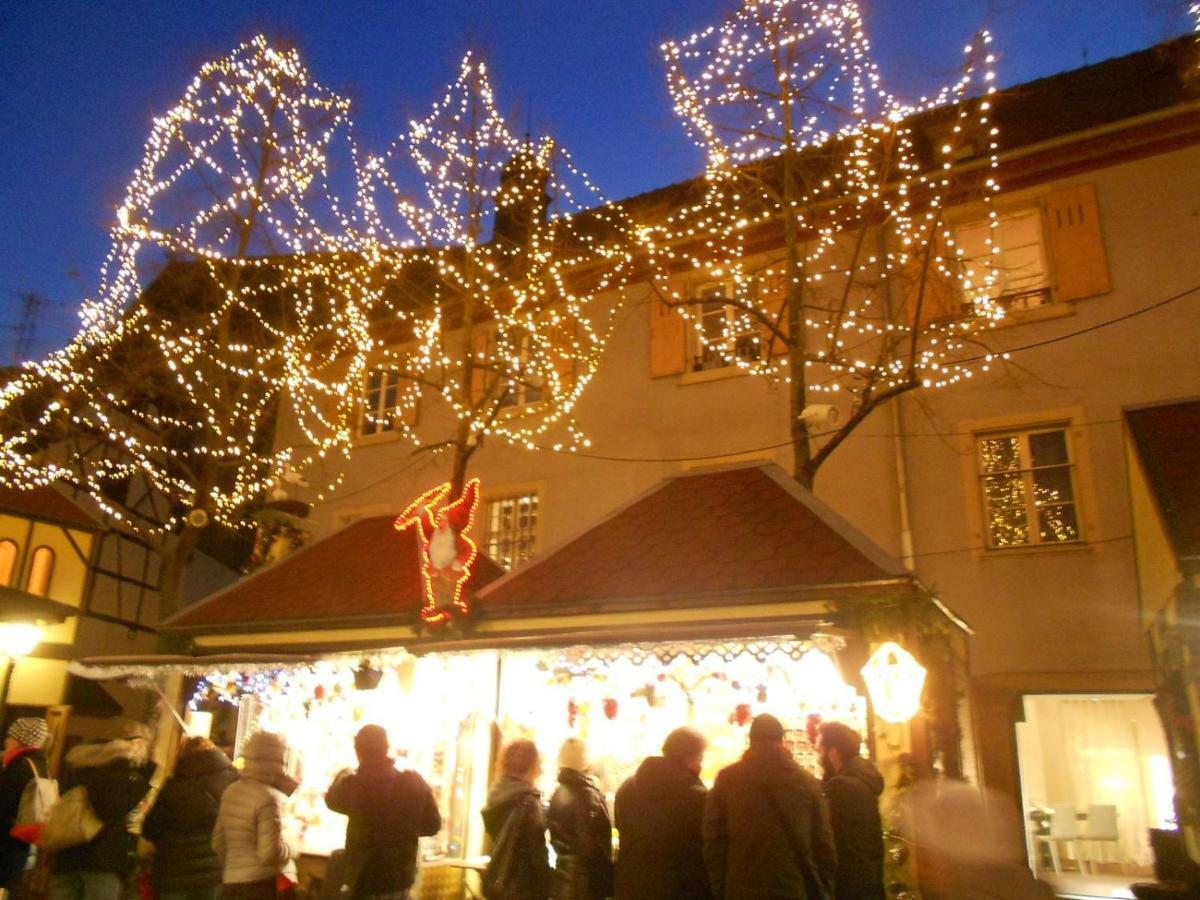 Residences Du Theatre Colmar Esterno foto